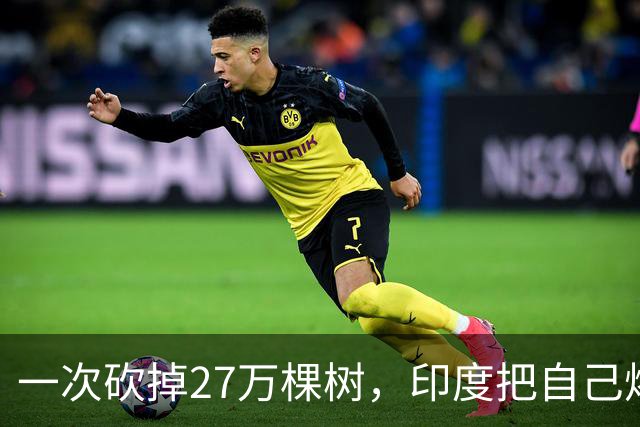 一次砍掉27万棵树，印度把自己烤成52℃的火炉，连我国藏南也遭殃
