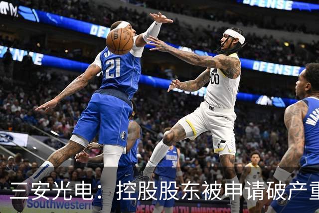 三安光电：控股股东被申请破产重整