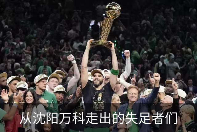 从沈阳万科走出的失足者们