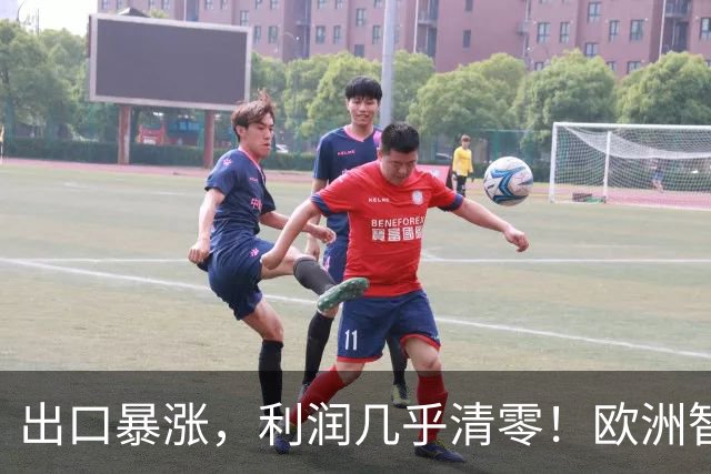 出口暴涨，利润几乎清零！欧洲智库：中国内卷“卖”到我们家了？