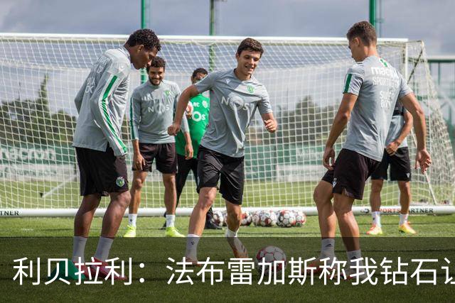 利贝拉利：法布雷加斯称我钻石让我非常自豪