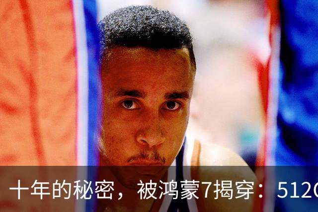 十年的秘密，被鸿蒙7揭穿：512GB，背后到底水分多深