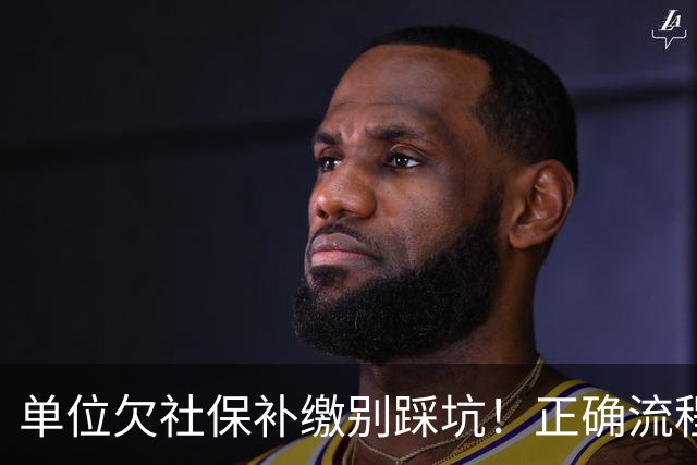 单位欠社保补缴别踩坑！正确流程：单位申报，个人不要提前转钱