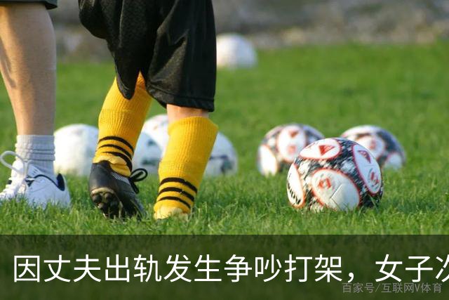 因丈夫出轨发生争吵打架，女子次日驾车将丈夫撞伤获刑2年10个月，被判赔15万余元