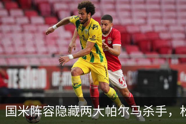 国米阵容隐藏两大帕尔马杀手，松弛哥斯5苏77境况各不相同