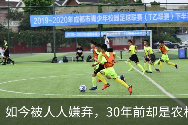 如今被人人嫌弃，30年前却是农村香饽饽，为何如今仍然大量养殖