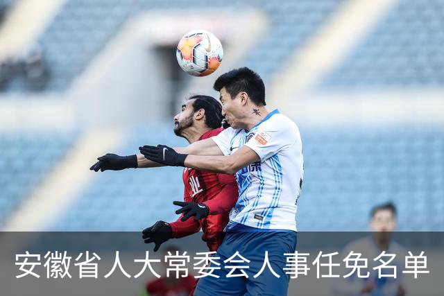 安徽省人大常委会人事任免名单
