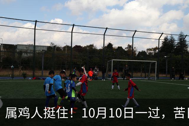属鸡人挺住！10月10日一过，苦日子到头了，三件好事排队进门