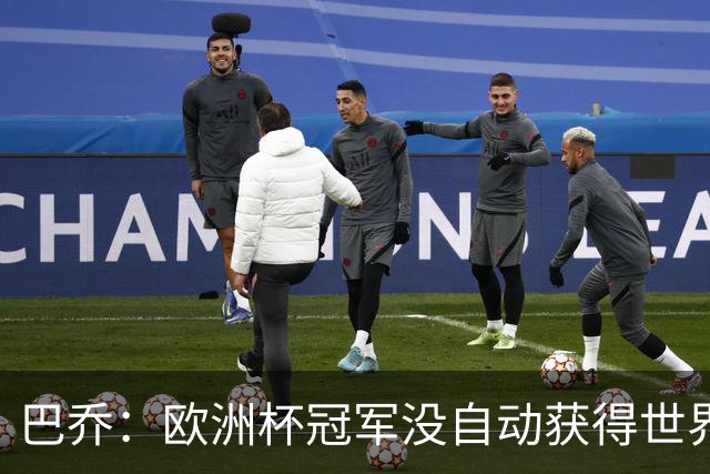 巴乔：欧洲杯冠军没自动获得世界杯资格 这是耻辱