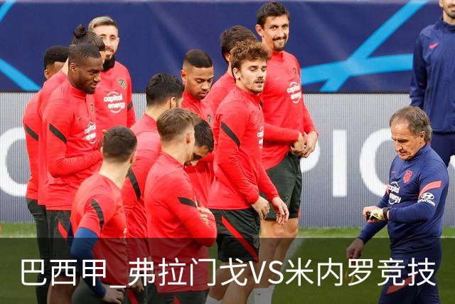 巴西甲 弗拉门戈VS米内罗竞技