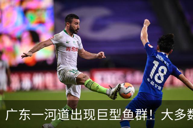 广东一河道出现巨型鱼群！大多数近一米长！