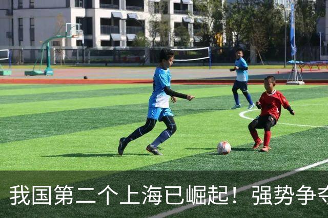 我国第二个上海已崛起！强势争夺西部第一城，人口将超过北京？
