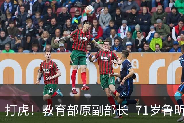 打虎！教育部原副部长 71岁鲁昕被查