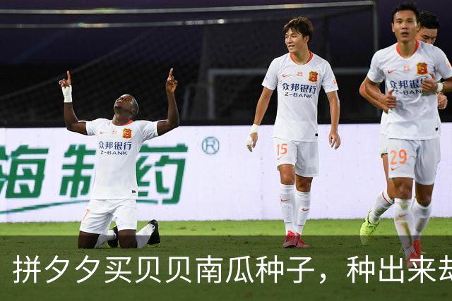 拼夕夕买贝贝南瓜种子，种出来却不是，网友：你这好歹是同款！