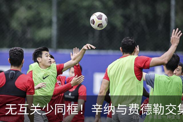 无互关少同框！辛纳与费德勒交集淡薄，成缺席拉沃尔杯背后因素