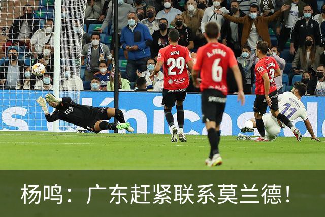 杨鸣：广东赶紧联系莫兰德！