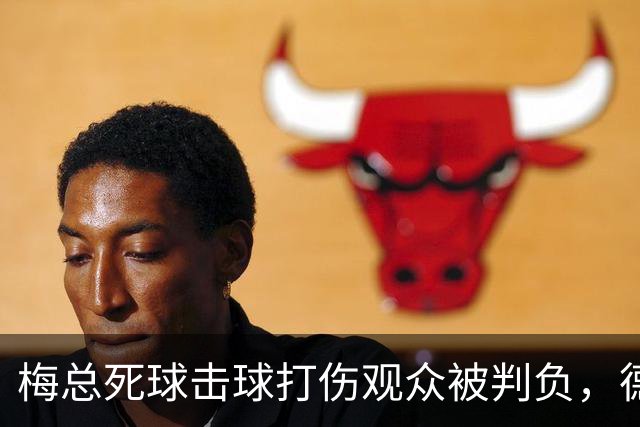 梅总死球击球打伤观众被判负，德约称能感同身受相信其非故意为之
