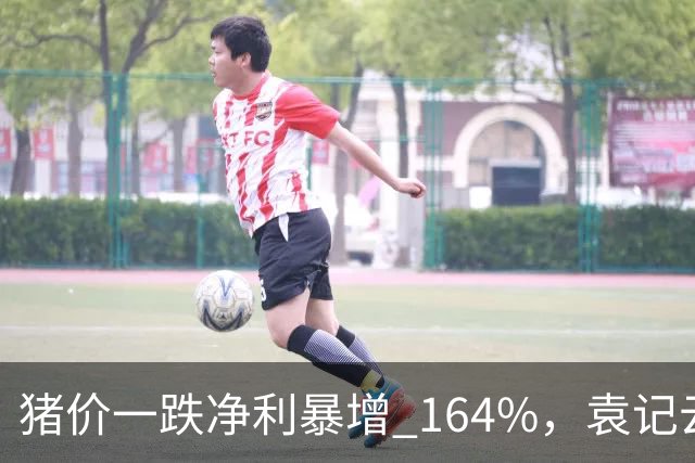 猪价一跌净利暴增 164%，袁记云饺靠猪上市？