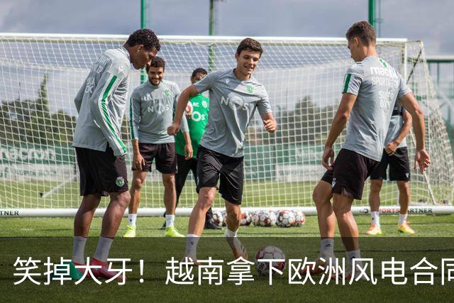 笑掉大牙！越南拿下欧洲风电合同，但自己不会造，转头跑中国进货