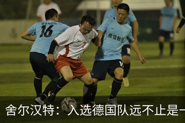 舍尔汉特：入选德国队远不止是一个梦想，除了感激还是感激