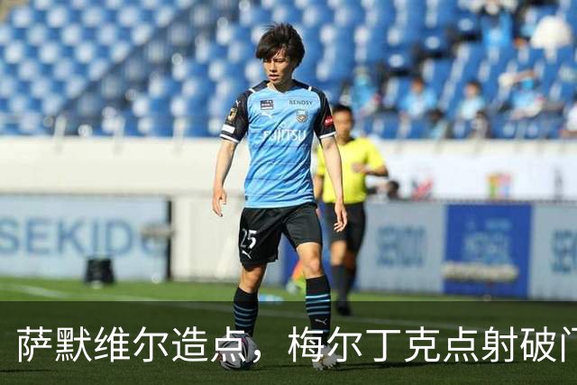 萨默维尔造点，梅尔丁克点射破门，荷兰1-0塞尔维亚