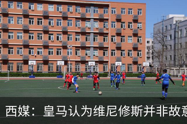西媒：皇马认为维尼修斯并非故意拽头发，预计他将停赛三场