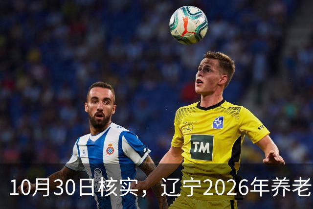 10月30日核实，辽宁2026年养老金调整通知，今天正式已发布了吗？
