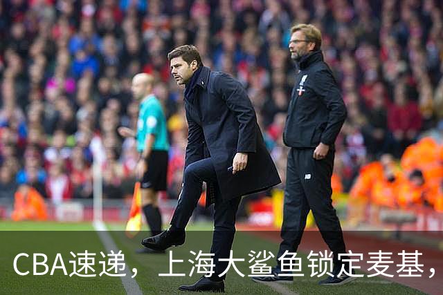 CBA速递，上海大鲨鱼锁定麦基，六十万美元非常平价，三剑客浮现
