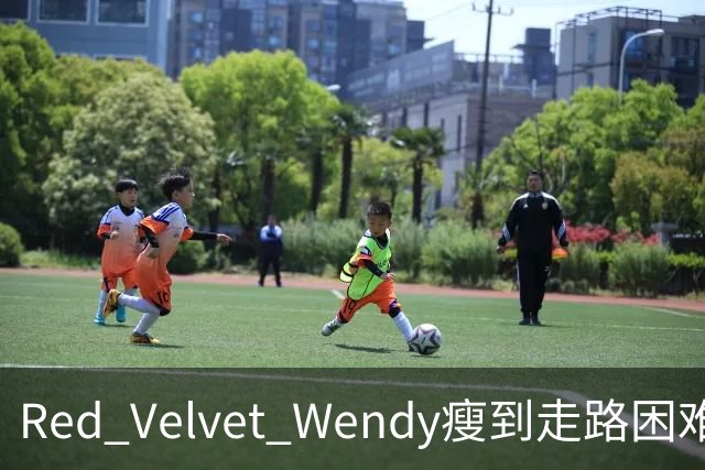 Red Velvet Wendy瘦到走路困难？机场生图引争议