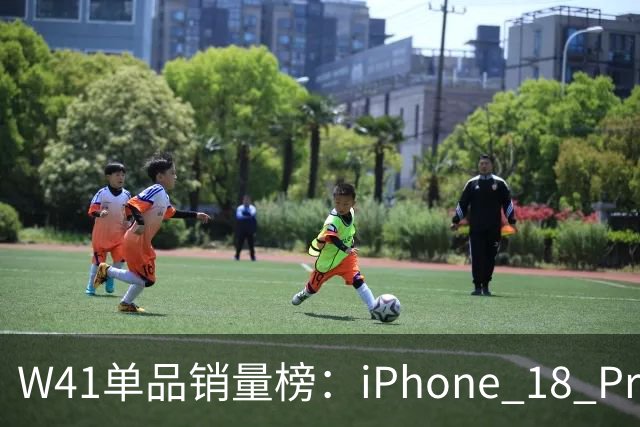 W41单品销量榜：iPhone 18 Pro Max太让人嫉妒